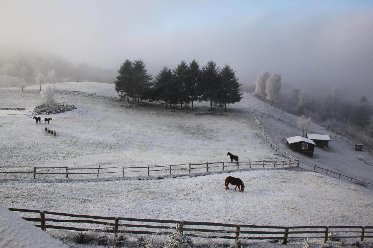 Domek pod bukami Szymbark  Bagian luar foto